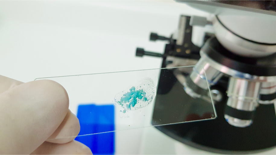 Innovaciones en Equipos de Análisis: Tecnología al Servicio de la Ciencia